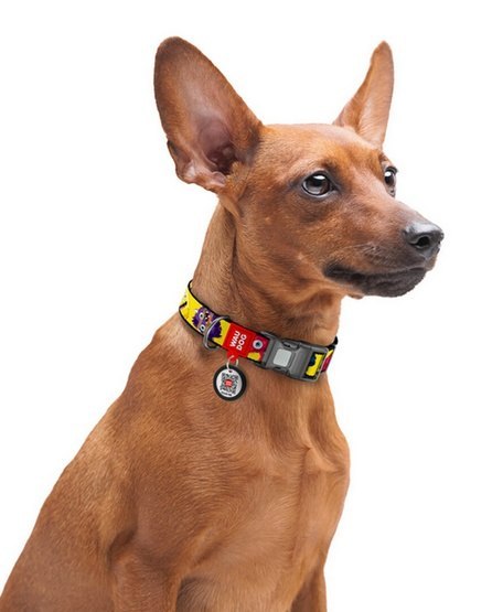 Collar WauDog Nylon Obroża nylonowa z QR-paszportem, plastikowy fastex, wzór FUTRZANE POTWORY, XXL 35mm/46-70cm
